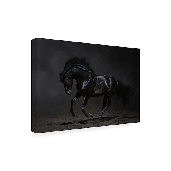 PhotoINC Studio 'Onyx Horse' Canvas Art,30x47